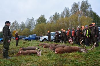 DSC_0508.jpg