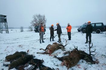 DSC_0176.JPG