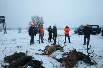 DSC_0178.JPG