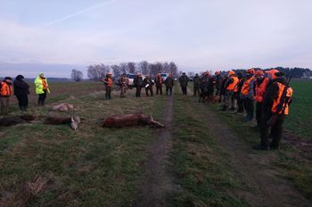 DSC_1449.JPG